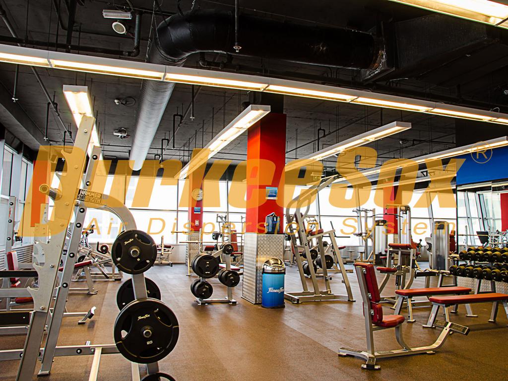 Dubai Fitness First Motor City (2)